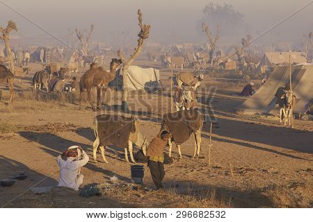 Nagaur, Rajasthan, India - February 14, 2008: Preparing Food And Arming Up After A Cold Night Campin