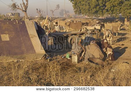 Nagaur, Rajasthan, India - February 14, 2008: Preparing Food And Arming Up After A Cold Night Campin