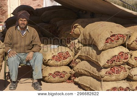 Nagaur, Rajasthan, India - February 14, 2008: Selling chili by the sack at the annual livestock festival in Nagaur, Rajasthan, India.