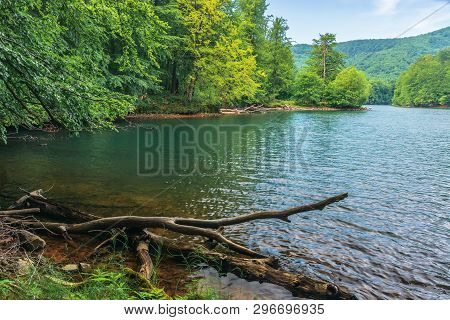 Lake Among The Beech Forest. Beautiful Summer Scenery In Vihorlat Mountains, Slovakia. Wonderful Des