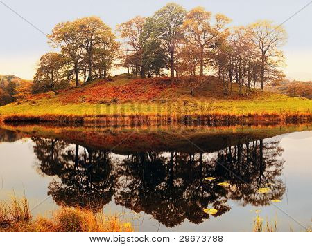 Langdale