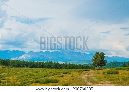 Spectacular View Of Mountain Scenery. Amazing Landscape With Footpath And Coniferous Trees In Highla