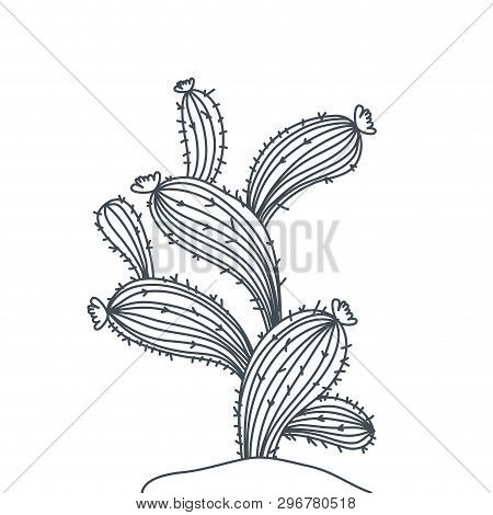 Cactus In Landscape Isolated Icon Vector Illustration Design