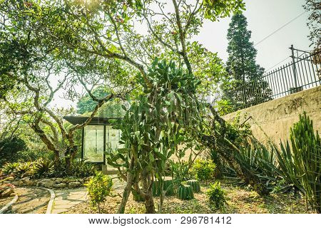 Cactus House With Various Type Of Cactus In Tropical Island In Bogor Indonesia - Photo Bogor