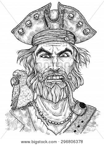 Angry Pirate Or Sea Captain In Hat With Pipe And Parrot Isolated On White. Hand Drawn Engraved Illus