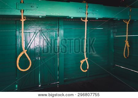 Loop Of White Rope On A Dark Background Of A Wooden Wall Of Green Color. The Concept Of Suicide. Han