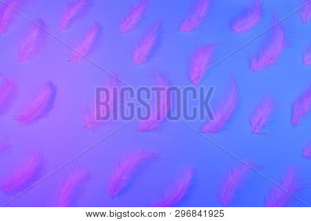 Gradient Plastic Pink, Blue And Proton Purple Background With Neon Feathers. Glowing Neon. Trendy De