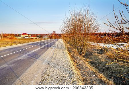 Ust Blooming Willow Twigs In The Early Spring Near The Road Stretching Into The Distance. Russia, Dm