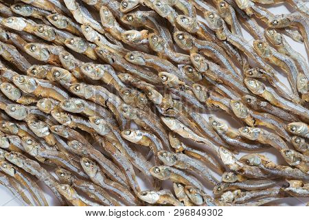 Plenty Of Small Dried Fish From Sea That Are Arranged In Group,top View Of Small Dried Fish Pattern,