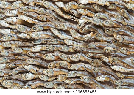 Plenty Of Small Dried Fish From Sea That Are Arranged In Group,top View Of Small Dried Fish Pattern,
