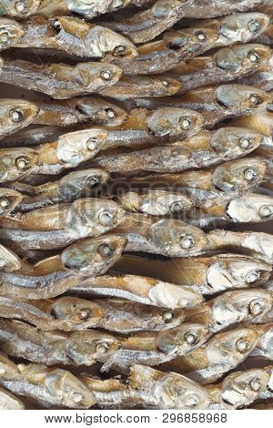 Plenty Of Small Dried Fish From Sea That Are Arranged In Group,top View Of Small Dried Fish Pattern,