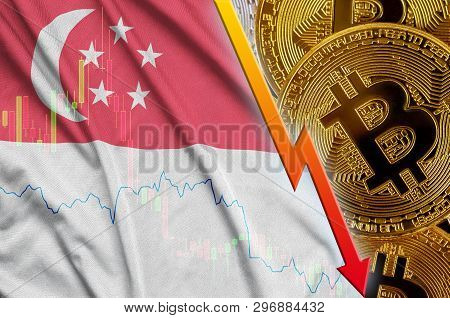 Singapore Flag And Cryptocurrency Falling Trend With Many Golden Bitcoins