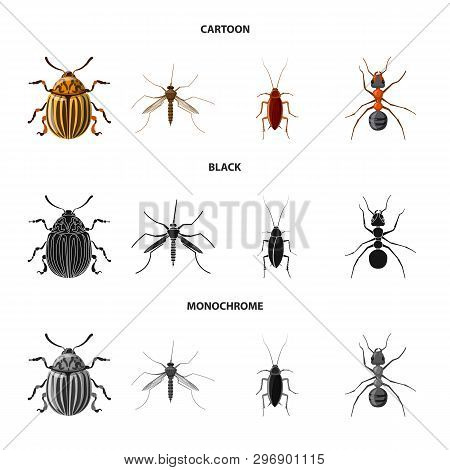 Vector Design Of Insect And Fly Sign. Collection Of Insect And Element Stock Vector Illustration.