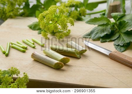 Blooming Alexanders plant cutting to cook as vegetable for dinner
