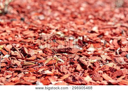Bright Red Wooden Natural Mulch. Pine Shavings For Lawn Mulching. Decorative Mulching Of Beds, Lawns