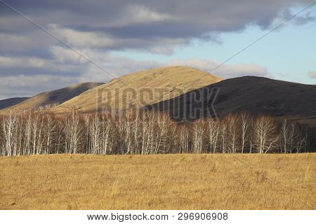 Yellow And Black Mountains And Autumn Forest