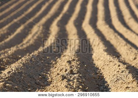 Parallel Furrows Of A Pyramidal Shape On A Plowed Spring Field. The Appearance Of The Soil With Sown