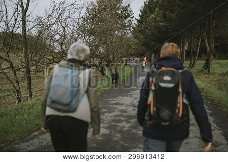 Sarria, Spain - April 7th, 2019: Dog Walking Between Camino De Santiago Pilgrims That Are Walking Wi