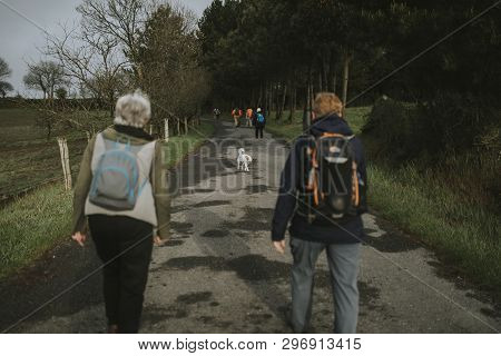 Sarria, Spain - April 7th, 2019: Dog Walking Between Camino De Santiago Pilgrims That Are Walking Wi