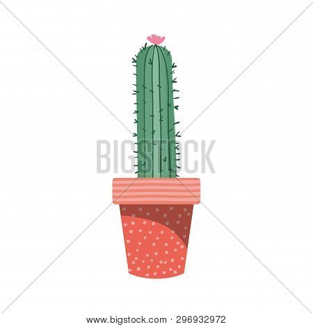 Cactus With Potted Isolated Icon Vector Illustration Design