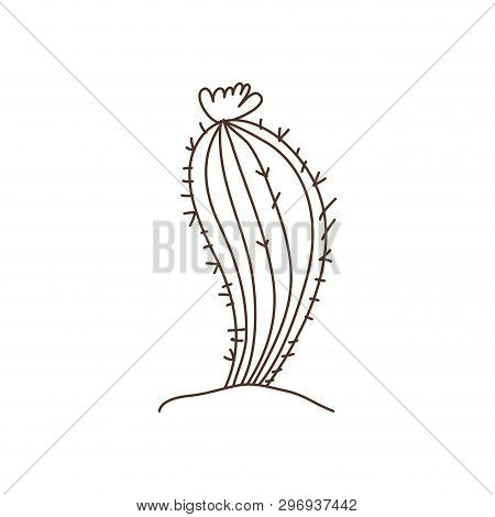 Cactus In Landscape Isolated Icon Vector Illustration Design
