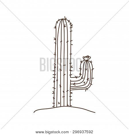 Cactus In Landscape Isolated Icon Vector Illustration Design