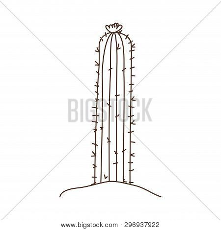 Cactus In Landscape Isolated Icon Vector Illustration Design