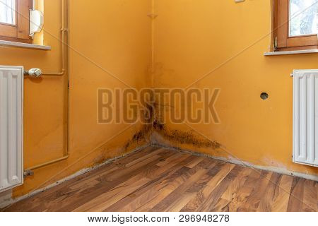 Mold Build Up In A Corner Of A Poorly Hydro Isolated House