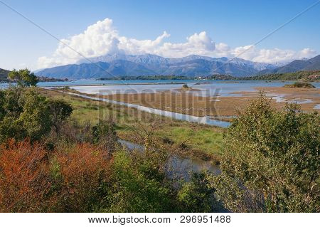 Wetland Landscape. Montenegro. View Of Special Botanical And Animal Reserve Tivat Salina  ( Tivatska
