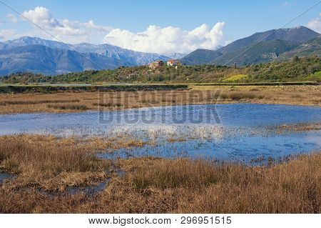 Wetland Landscape. Montenegro, Special Botanical And Animal Reserve  - Tivat Salina  ( Tivatska Soli