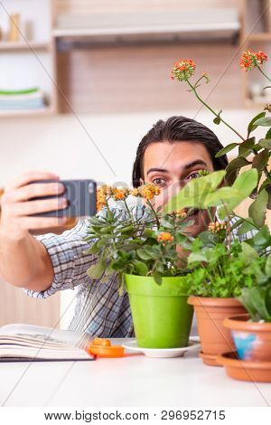 Young handsome man cultivating flowers at home