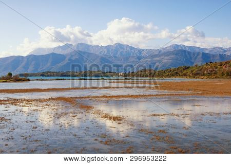 Wetland Landscape. Montenegro. Tivat Salina  ( Tivatska Solila ) - Special Botanical And Animal Rese