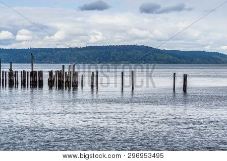 A View Of Decaying Pilings Along The Shore In Ruston, Washington Near Tacoma.
