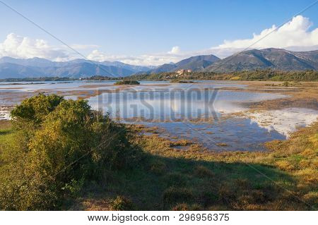 Wetland Landscape. Montenegro. View Of Special Botanical And Animal Reserve  - Tivat Salina  ( Tivat