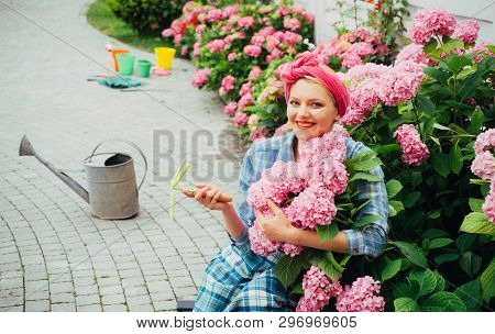 Greenhouse Flowers. Woman Care Of Flowers In Garden. Hydrangea. Spring And Summer. Happy Woman Garde
