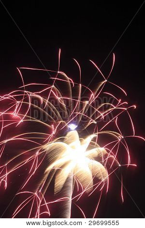 Fireworks In The Night