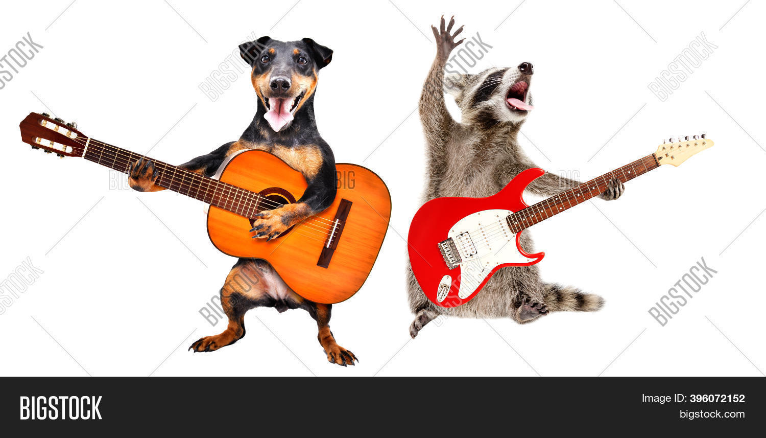 Dog Plays Acoustic Image & Photo (Free Trial) Bigstock