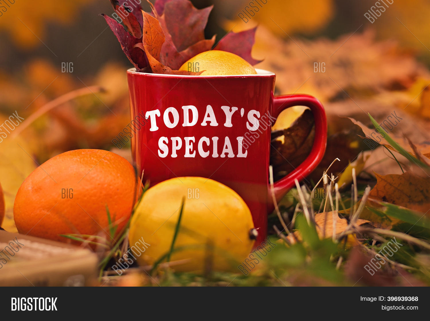 Words Today Special Image & Photo (Free Trial) | Bigstock