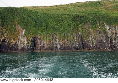 Dolphin Trip In Dingle Bay, Dingle Peninsula, Co. Kerry, Ireland