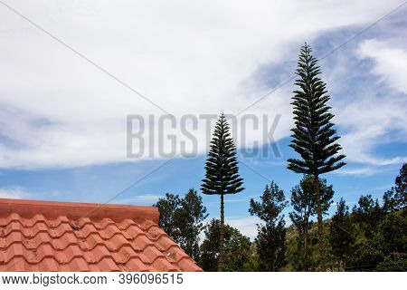 Scenic View Of The Landscape Along The Shevaroy Hills In Yercaud, India