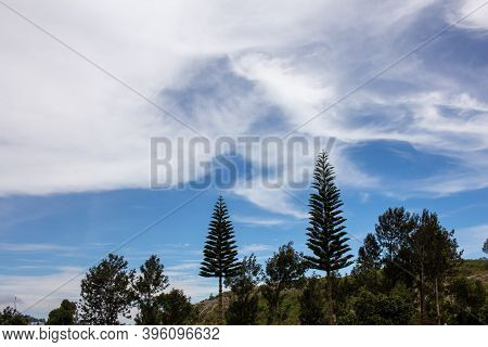 Scenic View Of The Landscape Along The Shevaroy Hills In Yercaud, India