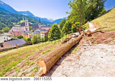 Town Of Berchtesgaden Hillside Path, Chopped Tree In Alpine Landscape, Bavaria Region Of Germany