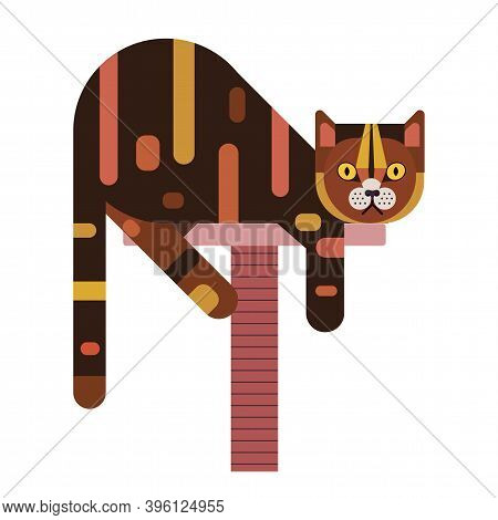 Flat Tortoiseshell Cat Lying On Scratching Post