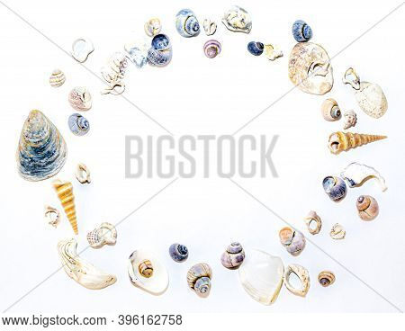 Сircle Of Small Marine Colored Orange Blue Pink Violet Seashells Of Different Sizes And Shapes On Wh