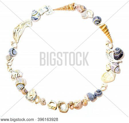 Сircle Frame Of Small Marine Colored Orange Blue Pink Purple Sea Shells Of Different Shapes On White