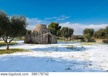 Beautiful Trullo With Olive Grove In The Snow, Manduria, Salento, Apulian Landscape After A Snowfall