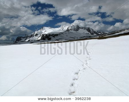 Top; Sneeuw; Gletsjer