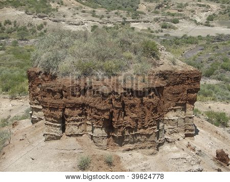 Wąwóz Olduvai detal