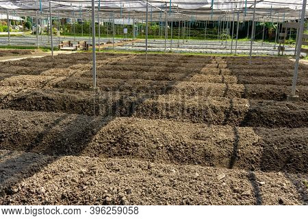 Preparing Soil For Plantation Of Planting Nursery Under Shading Net In The Vegetables Orgarnic Farm