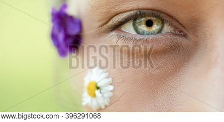 Macro Shot Of Womans Beautiful Eye, Wild Flowers And Daisy Attached On Face. Care For Womens Skin. V